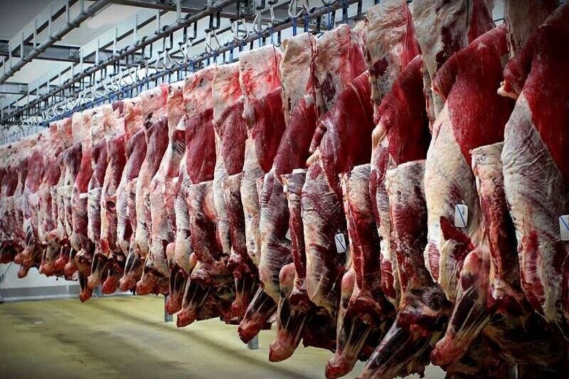 Factory Farming Cruelty for Humans, Animals and the Planet