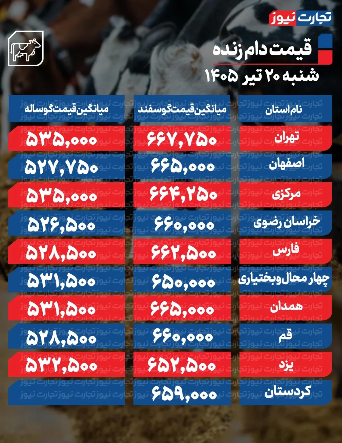 قیمت جدید دام‌زنده اعلام شد/ ارزان‌ترین گوسفند و گوساله کجا به فروش می‌رود؟ + جدول