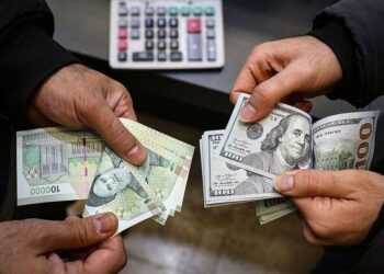 قیمت جدید دلار و انواع ارزها امروز ۲ شهریورماه ۱۴۰۵/ جدول
